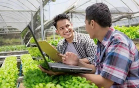 Lowongan kerja petani milenial kini viral di media sosial. 